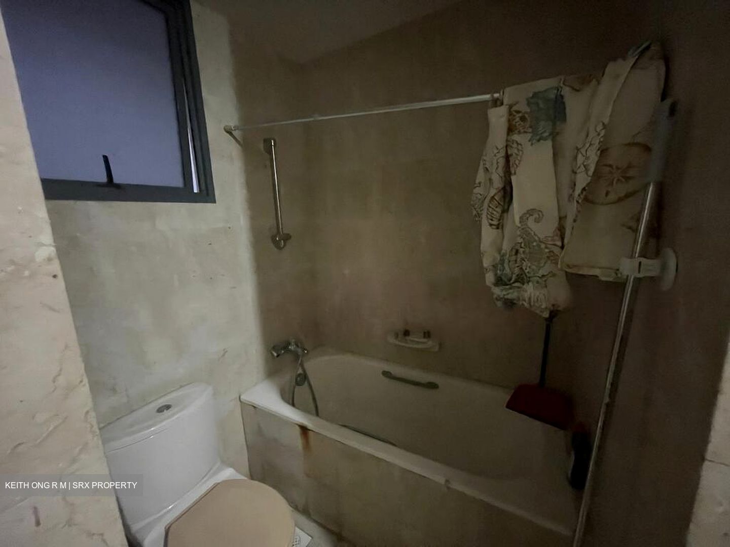 Carissa Park Condominium (D17), Condominium #518705351
